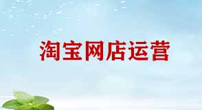 淘寶網(wǎng)店運營