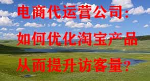 如何優(yōu)化淘寶產(chǎn)品從而提升訪客量