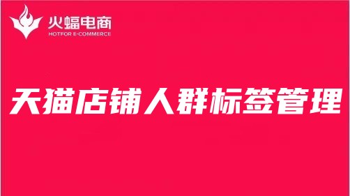 景德鎮(zhèn)天貓代運(yùn)營(yíng) 景德鎮(zhèn)天貓代運(yùn)營(yíng)